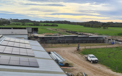 Gippsland Dairy Jelbart Renewable Energy Case Study.