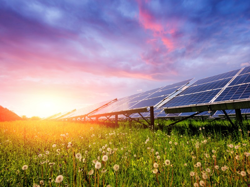 REDEI-renewable-energy-provider-power-solar (1)