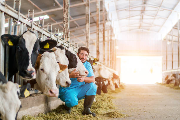 Dairy Farmer Green Energy Net Zero Emmision Targets