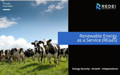 Renewable Energy as a Service for Dairy Farms by REDEI