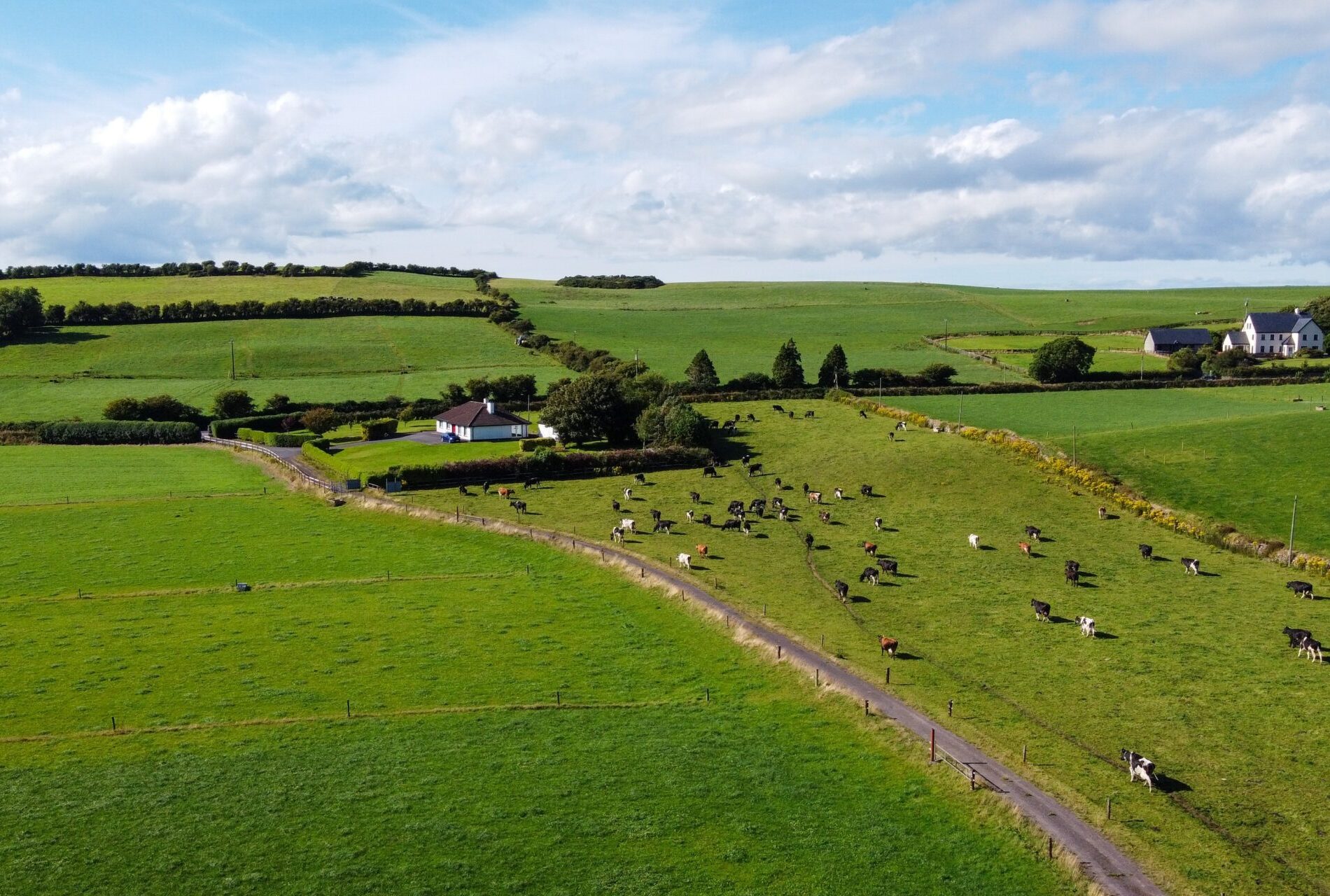 Renewable Energy On-Farm Solutions for Agriculture - REDEI Energy