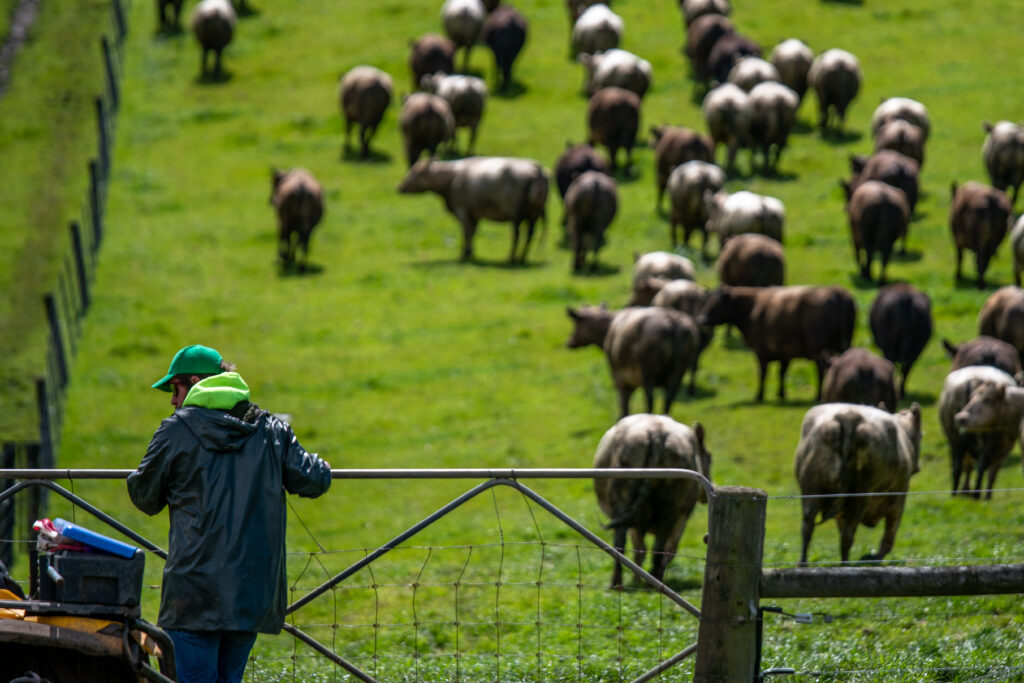 REDEI’s “Whole of Life” methodology offers farmers total farm energy management, focusing on long-term partnerships.